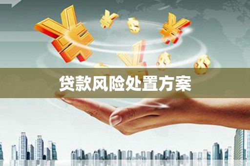 黄南贷款风险处置方案
