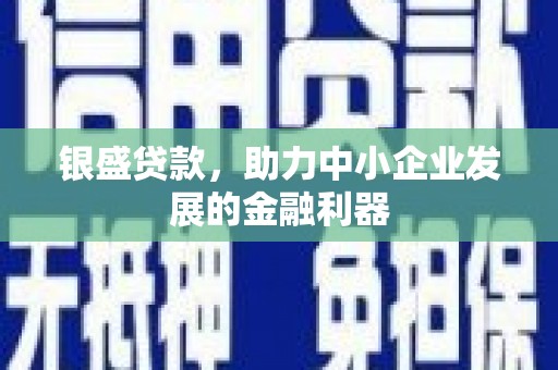 黄南银盛贷款，助力中小企业发展的金融利器