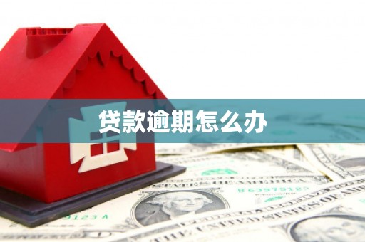 黄南贷款逾期怎么办