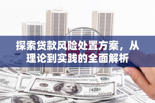 黄南探索贷款风险处置方案，从理论到实践的全面解析