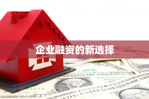 黄南企业融资的新选择