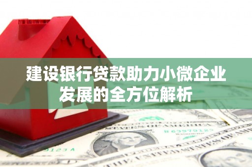 黄南建设银行贷款助力小微企业发展的全方位解析