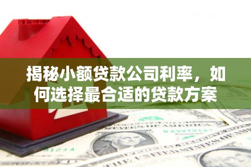 黄南揭秘小额贷款公司利率，如何选择最合适的贷款方案