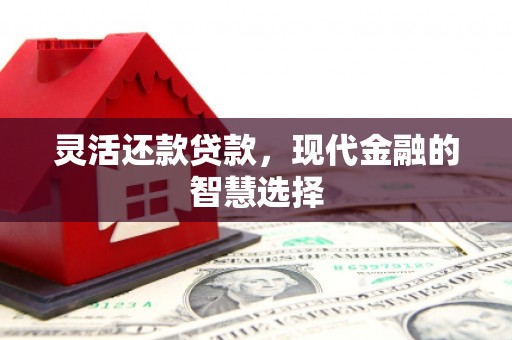 黄南灵活还款贷款，现代金融的智慧选择