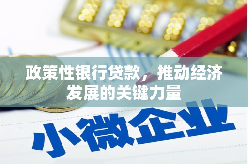 黄南政策性银行贷款，推动经济发展的关键力量