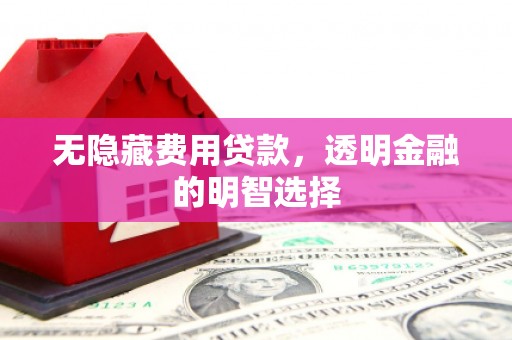 黄南无隐藏费用贷款，透明金融的明智选择