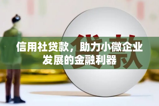 黄南信用社贷款，助力小微企业发展的金融利器