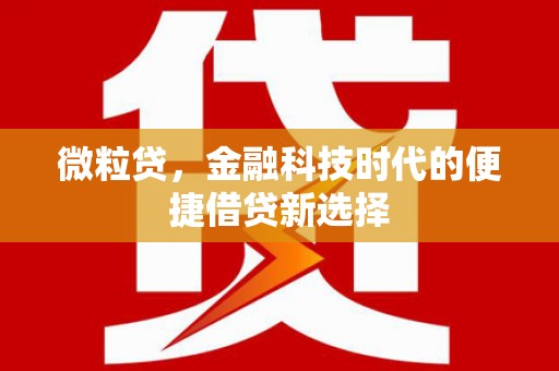 黄南微粒贷，金融科技时代的便捷借贷新选择