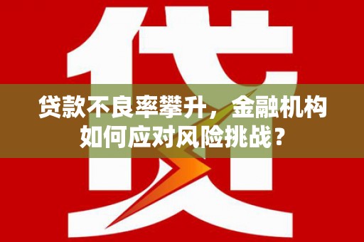 黄南贷款不良率攀升，金融机构如何应对风险挑战？