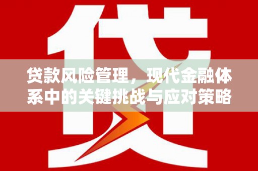 黄南贷款风险管理，现代金融体系中的关键挑战与应对策略