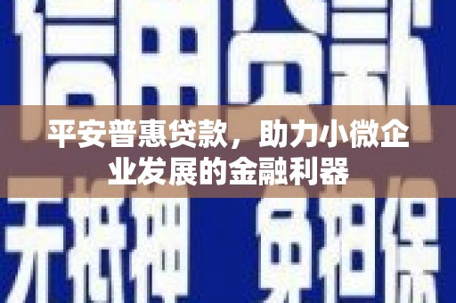 黄南平安普惠贷款，助力小微企业发展的金融利器