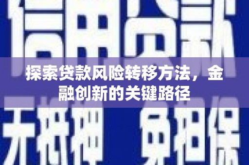 黄南探索贷款风险转移方法，金融创新的关键路径