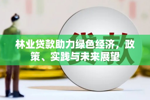 黄南林业贷款助力绿色经济，政策、实践与未来展望