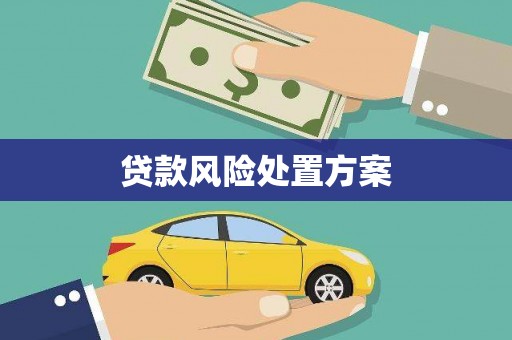 黄南贷款风险处置方案