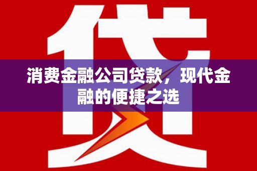 黄南消费金融公司贷款，现代金融的便捷之选