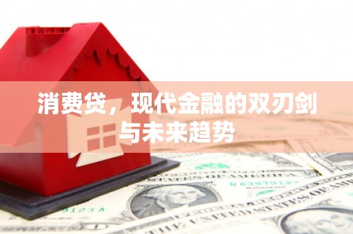 黄南消费贷，现代金融的双刃剑与未来趋势