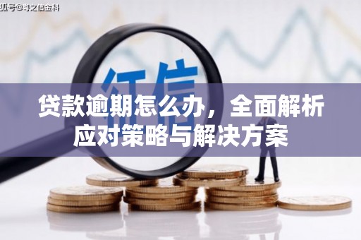 黄南贷款逾期怎么办，全面解析应对策略与解决方案