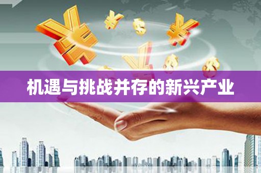 黄南机遇与挑战并存的新兴产业