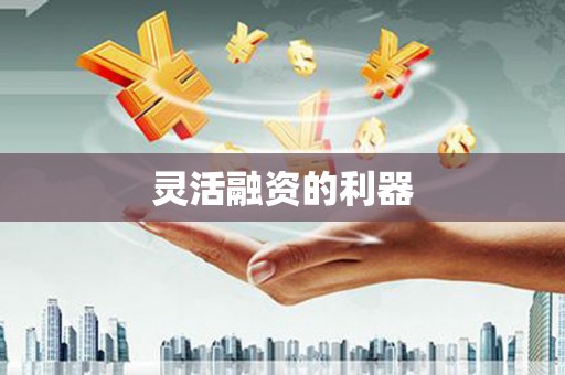 黄南灵活融资的利器