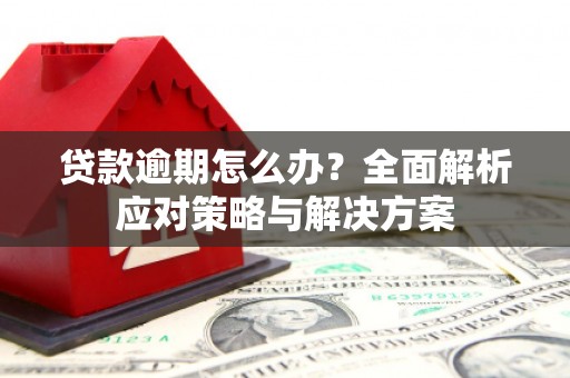 黄南贷款逾期怎么办？全面解析应对策略与解决方案