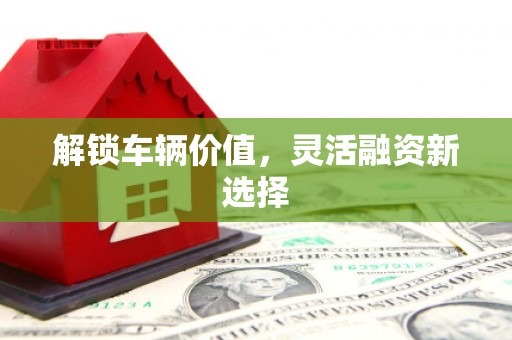 黄南解锁车辆价值，灵活融资新选择