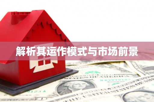 黄南解析其运作模式与市场前景
