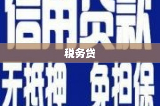 黄南税务贷