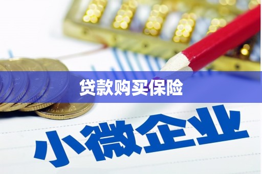 黄南贷款购买保险