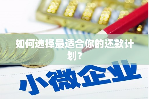 黄南如何选择最适合你的还款计划？
