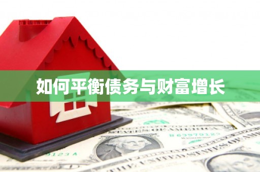 黄南如何平衡债务与财富增长