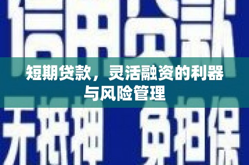 黄南短期贷款，灵活融资的利器与风险管理