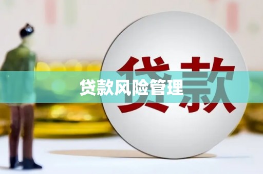 黄南贷款风险管理