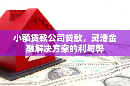 黄南小额贷款公司贷款，灵活金融解决方案的利与弊