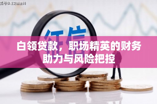 黄南白领贷款，职场精英的财务助力与风险把控