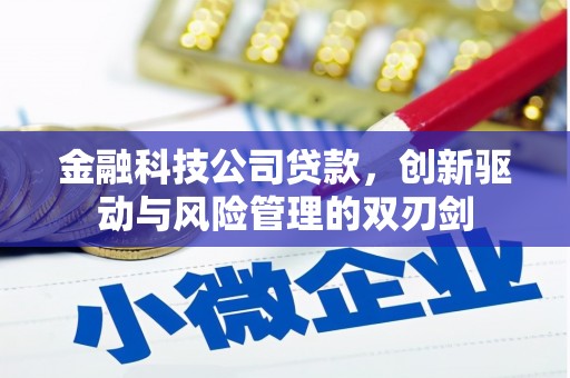 黄南金融科技公司贷款，创新驱动与风险管理的双刃剑
